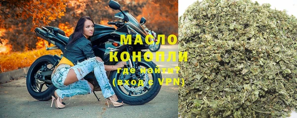 молекула духа Арсеньев
