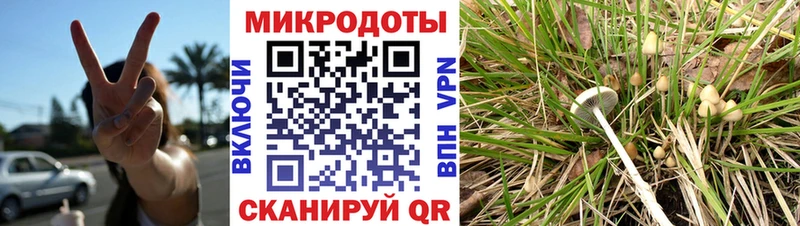 Галлюциногенные грибы Psilocybine cubensis  блэк спрут ССЫЛКА  Петушки 